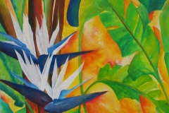 White Bird of Paradise - Rani B. Knobel