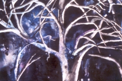Baum in der Nacht - Rani B. Knobel