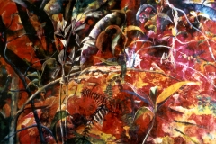 Das stille Feuer des Waldes - Rani B. Knobel