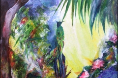 Paradiesvogel - Rani B. Knobel