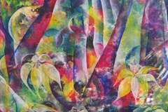 Zauberwald - Rani B. Knobel