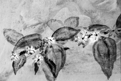 Es ist wieder Sommer - Rani B. Knobel