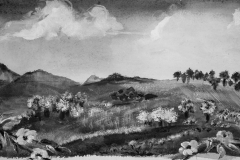 Hinaus und gewagt - Rani B. Knobel