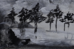 Kiefern - Rani B. Knobel