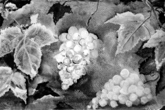 Sag Herbst wie ist dein neuer Wein - Rani B. Knobel